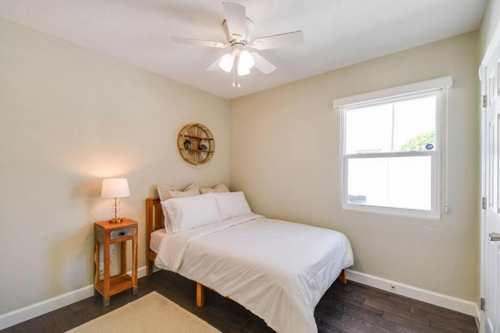 Luxury Home In The Heart Of South Tampa & Pool! Esterno foto